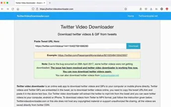 aperçu du site web de twitter video downloader