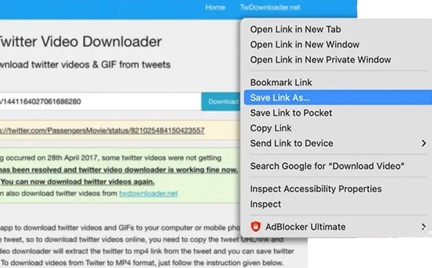 menu de téléchargement sur le site twitter downloader