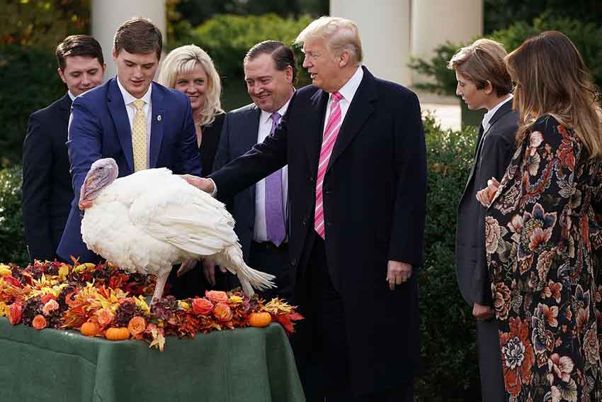 Pardon a Turkey at Thanksgiving