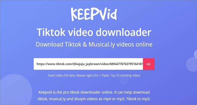 Aplicaciones gratuitas de conversión de TikTok - KeepVid