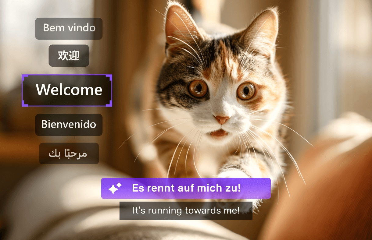 Untertitel in 145+ Sprachen und zweisprachige Untertitel