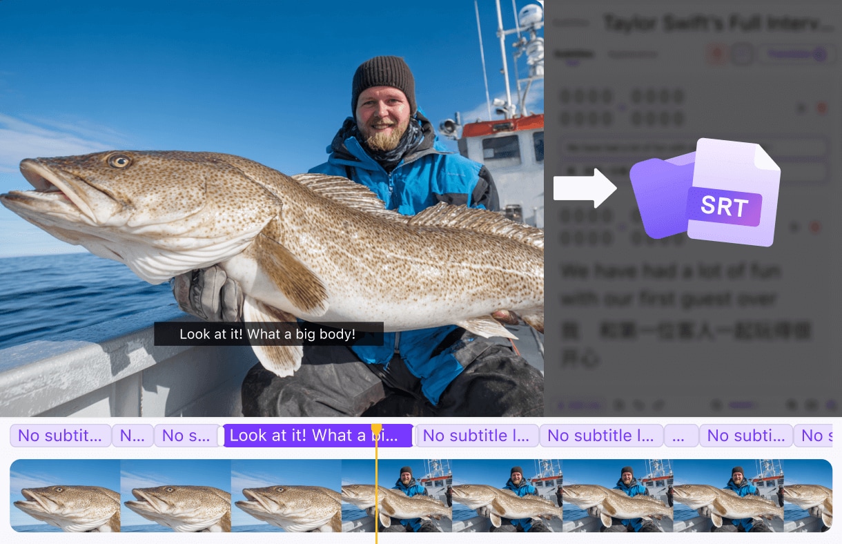 Flexible Exportoptionen: SRT herunterladen oder in Video einbetten