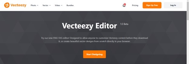 screen view of vecteezy editor