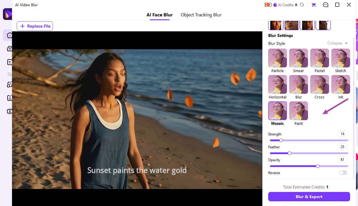 Preview and export the blurred video