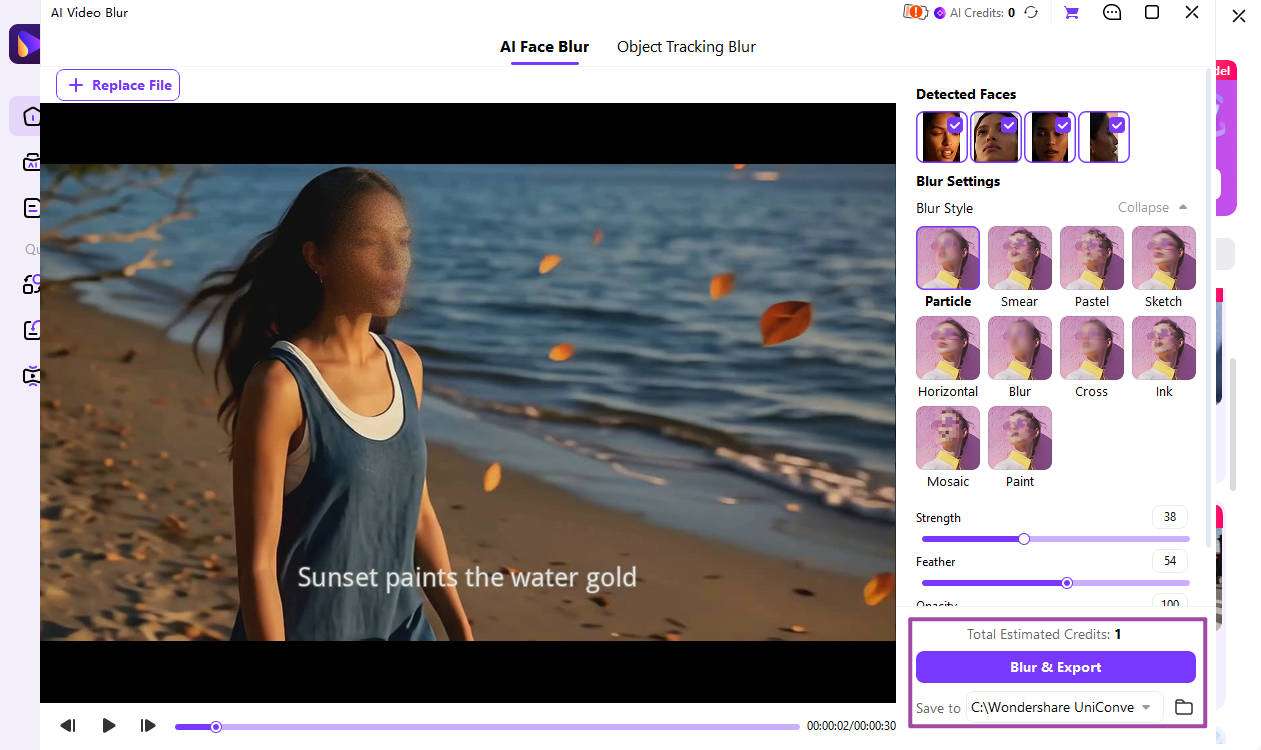 Preview and export the blurred video