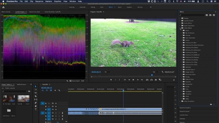 video editing software for vlogging