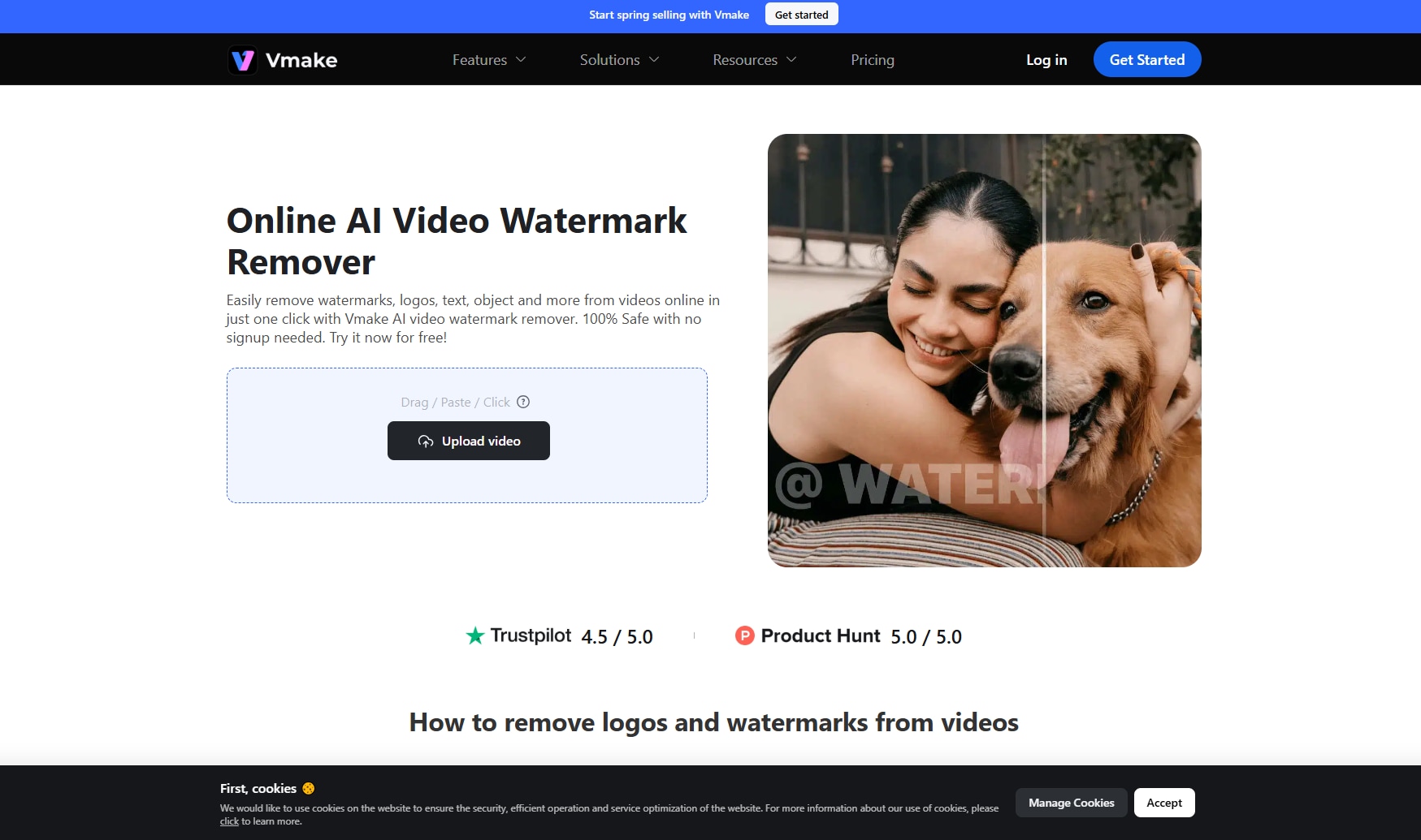 fotophire watermark remover