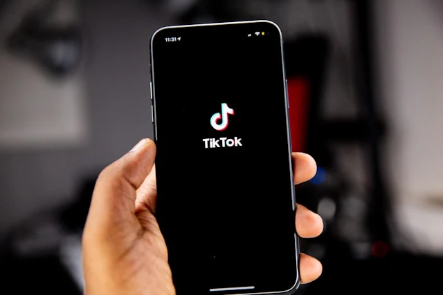 TikTok app interface