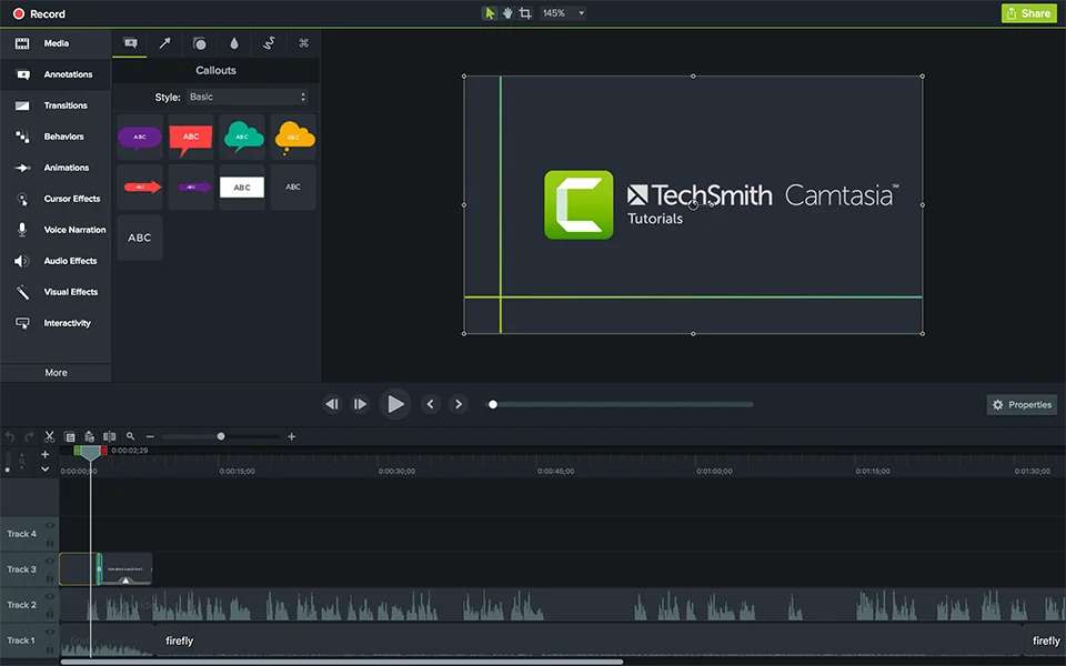 camtasia interface 