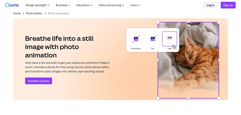 use canva photo animation tool