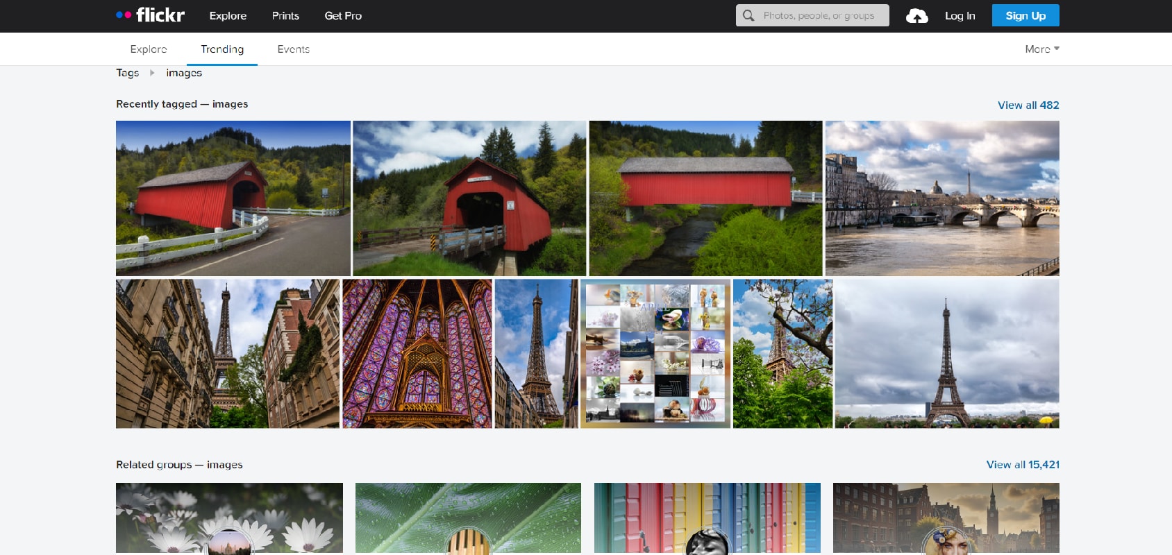 flickr photo website