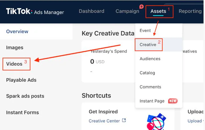 tiktok ads campaigns settings