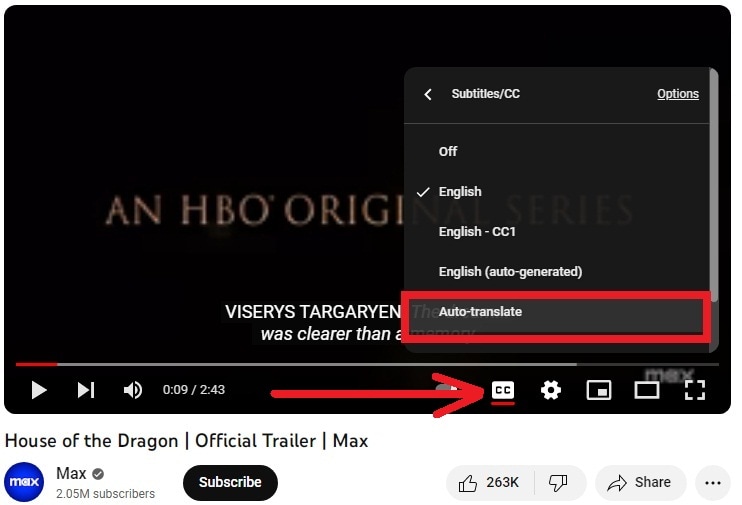 Youtube Online Subtitles Translator