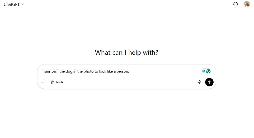 chatgpt-text-to-humanize-your-pet