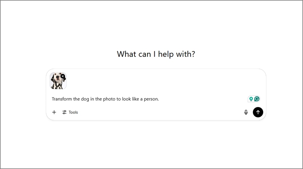 an-uploaded-photo-to-humanize-your-pet