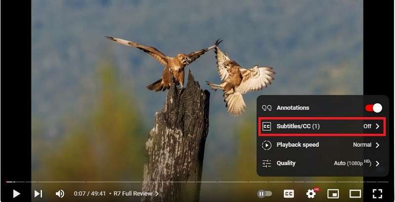 enable the subtitles of YouTube videos