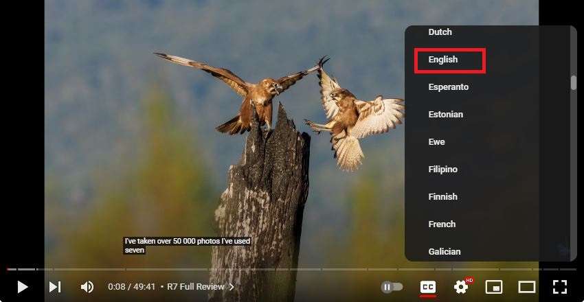 translate subtitles of YouTube videos