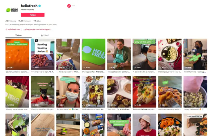 hellofresh in-feeds tiktok ads