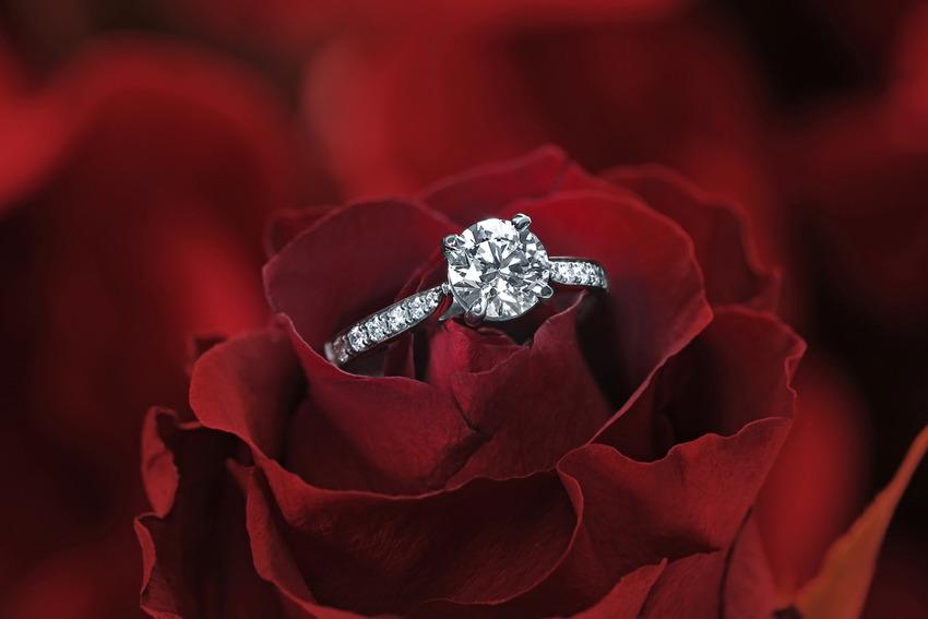 using a red rose for diamond ring photography