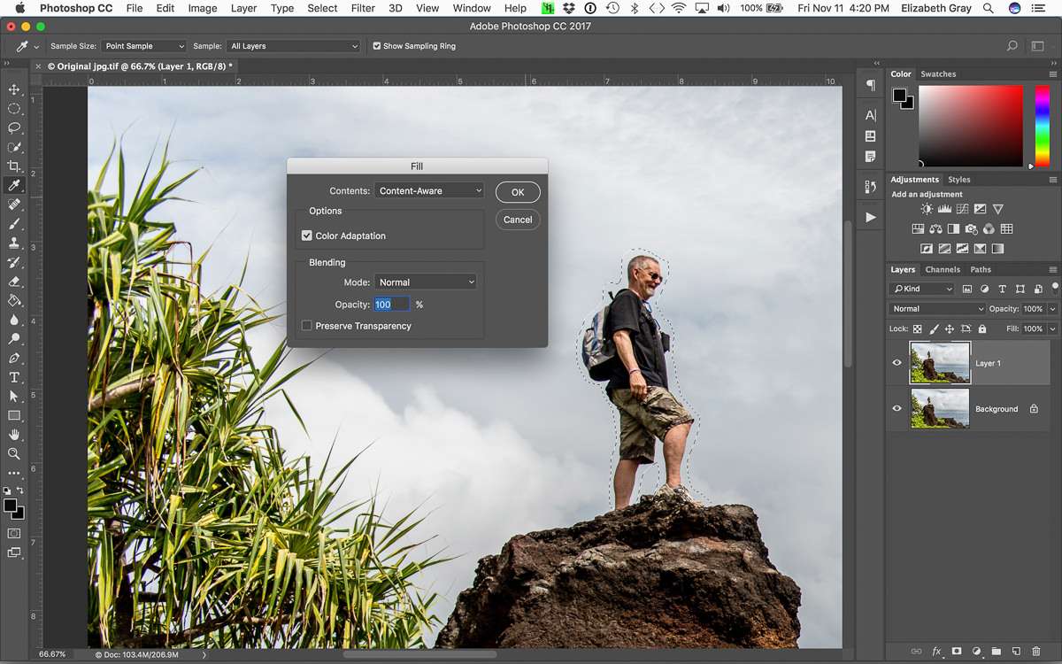 filling the background layer for a photoshop background blur