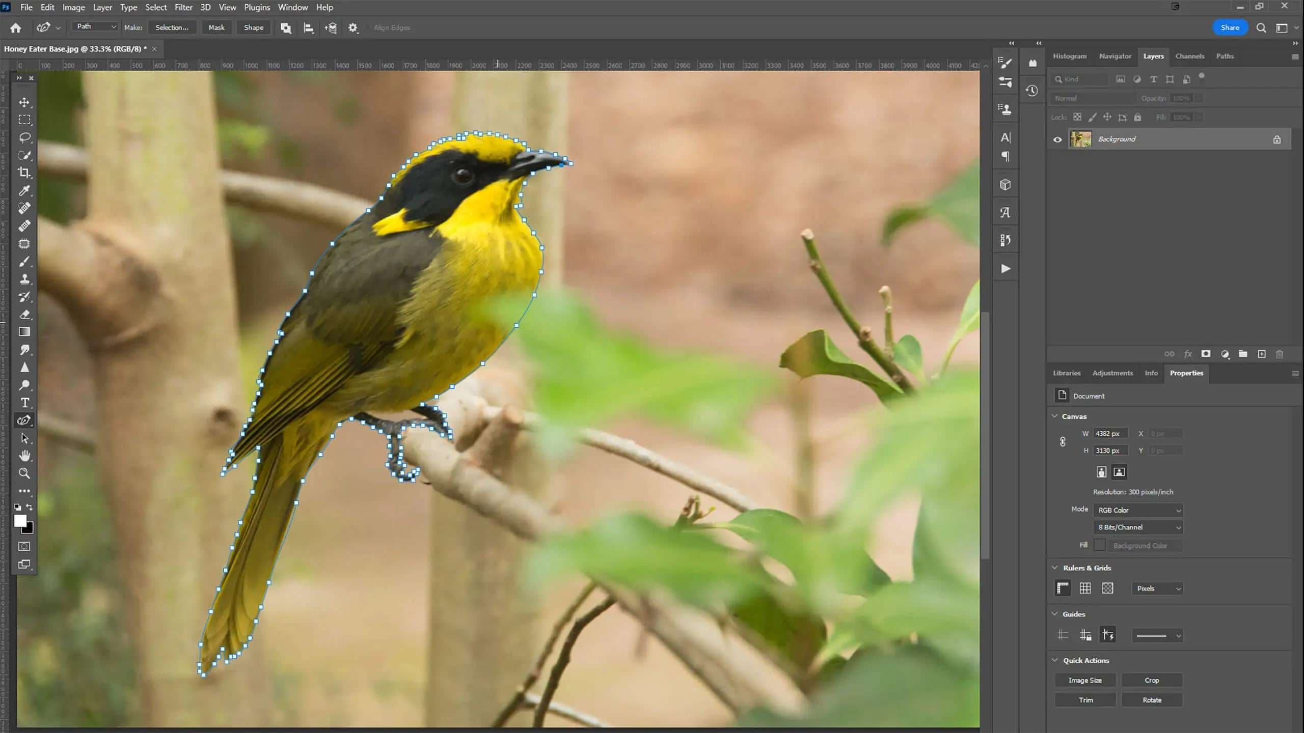 removing a background in photoshop with the pen tool