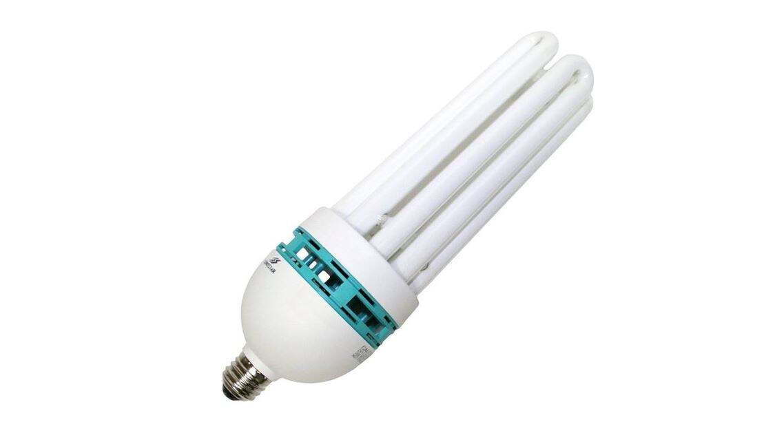 fluorescent photography light bulbs
